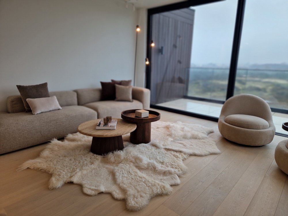 stoel, interieurstaging, casa nova , brugge , vastgoedstyling
